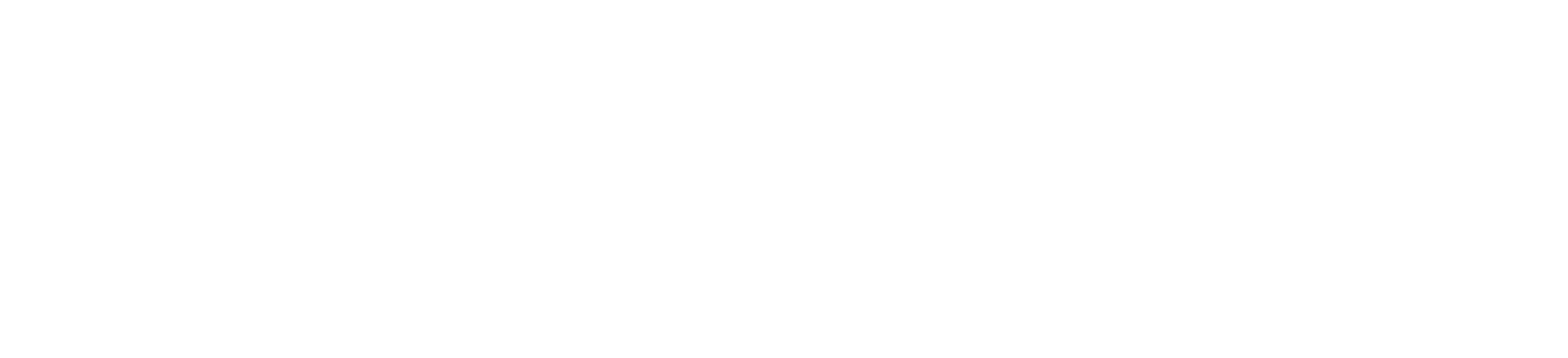 SmartLit Logo